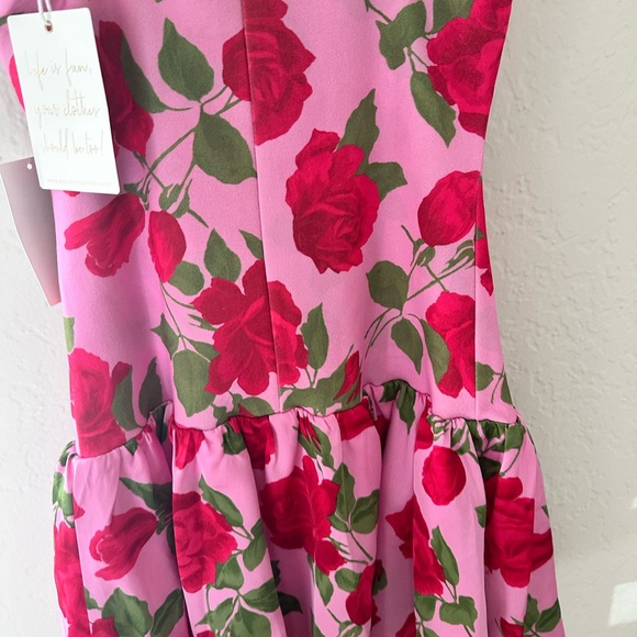 Show Me Your MuMu Pink Rose Print Mini Dress - Picture 5 of 10